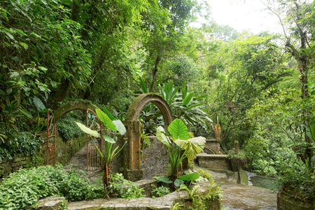 May 18, 2014 Xilitla, Mexico: Las Pozas also known as Edward James Gardens as well, with concrete structures blending in to vegetation in the most Northern jungle of the country nowadays a tourist destinationのeditorial素材