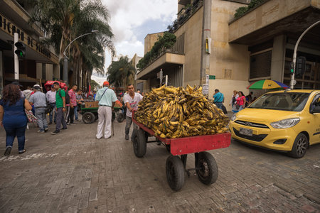 September 26, 2017 Medellin, Colombia: a mobile vendor pushing a cart full of bananas in the center of the cityのeditorial素材