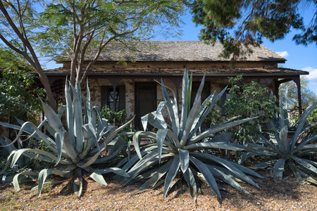January 12, 2016 San Ygnacio, Texas: colonial house with agave plants in frontのeditorial素材