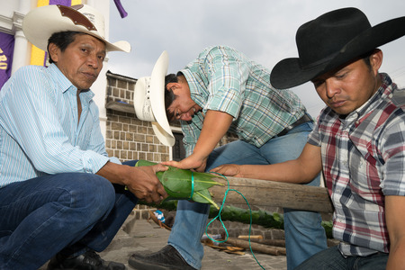 men preparing Easter street decorations in Guatemala.のeditorial素材