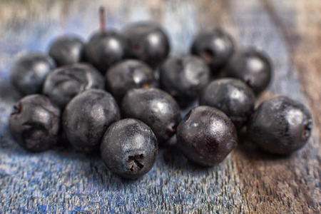 Ecuadorian high altitude wild blueberry called mortinoの写真素材
