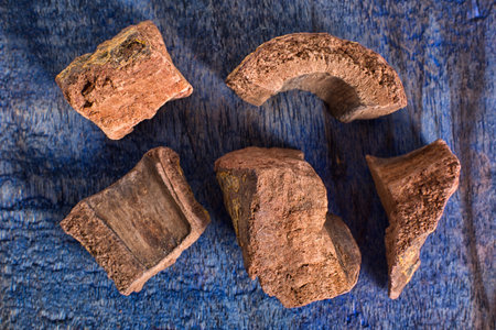 zarzaparilla also called spirax dried root closeup