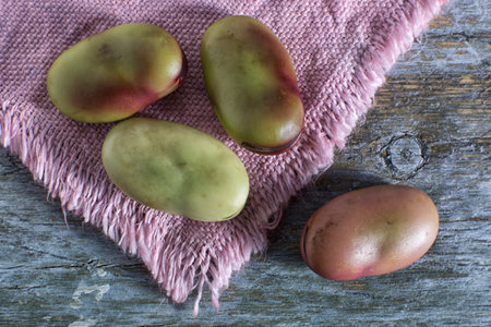 fava beans in rustic setting