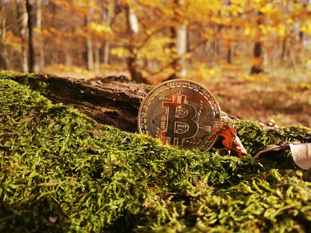 One golden bitcoin coin on the background of autumn leaves and grass.の写真素材