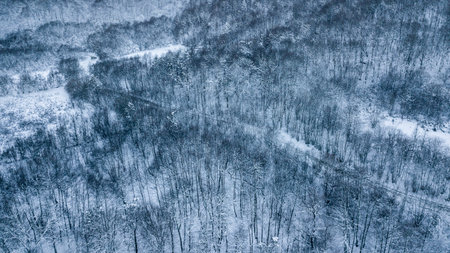 Dark winter road in the forest during blue hour. Aerial drone view