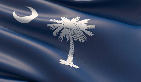 High resolution close-up Flag of South Carolina - United States of America states flags collection. 3D illustration.の写真素材