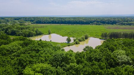 Aerial landscape nature - Dense green forest, green meadows, lake in southern Russiaの写真素材