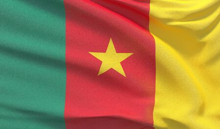 Background with flag of Cameroonの写真素材