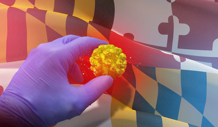 Coronavirus COVID-19 outbreak concept, background with flags of the states of USA. State of Maryland...