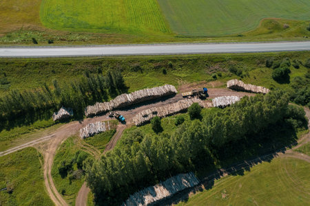 The deforestation of Siberia: economic and environmental problems in russian forest management.