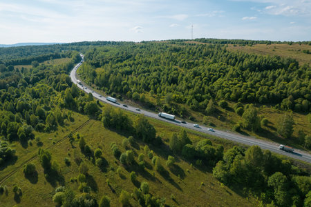 Aerial view of scenic road between green trees with pines on a sunny summer morning. Nature...