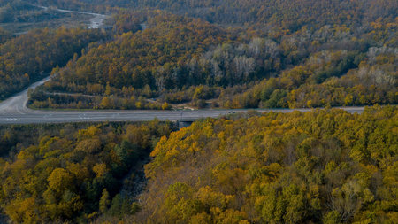 Aerial view of road with car in autumn forest at sunset. Amazing landscape with rural road, trees...