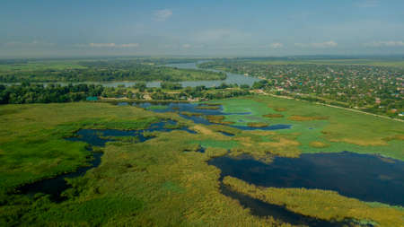 Pink lotus flower in the pond. Background is the lotus leaf and flowers.の写真素材