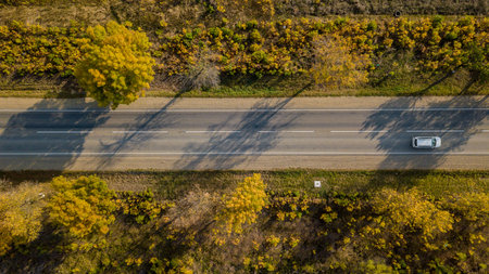 Drones Eye Autumn road: aerial top down view of lane between foliage tree