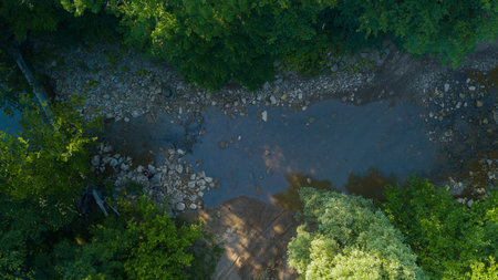 Fly over the River in Caucasus Rainforest