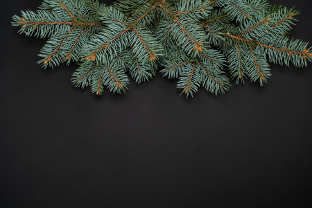 Fir branches border on background, good for christmas backdropの写真素材