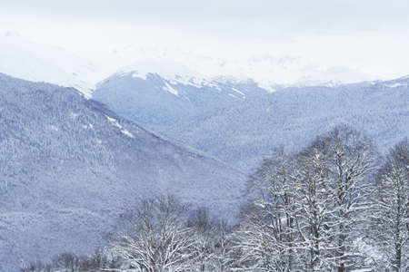 Winter mountain landscape: The Rosa Khutor Alpine Resort near Krasnaya Polyana panoramic background.の写真素材