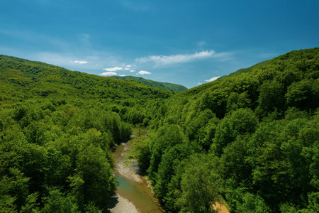 Flying over a clear river, green forest trees and mountains in spring on a sunny day. Russia,...