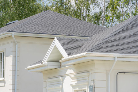 Shingles texture - close up view of asphalt roofing shingles
