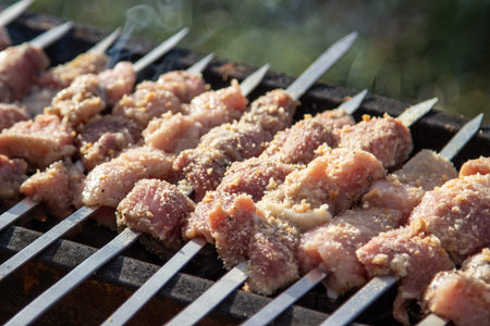 Assorted delicious grilled meat with vegetables over the coals on a barbecue
