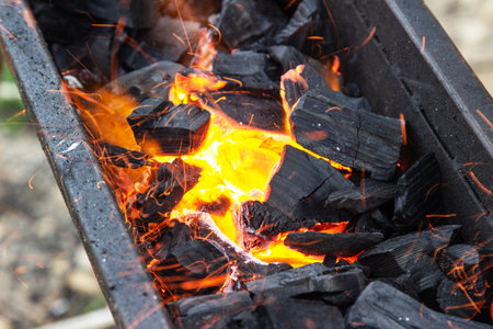 Assorted delicious grilled meat with vegetables over the coals on a barbecue