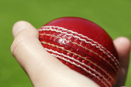 cricket ball in handの写真素材