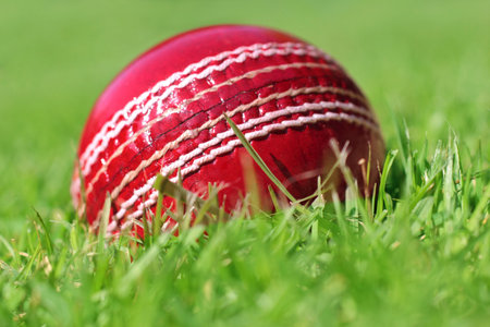 cricket ball on the grassの写真素材
