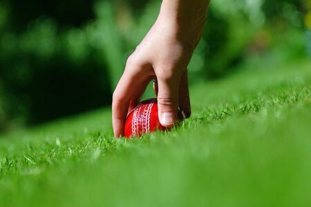 cricket ball on the grassの写真素材