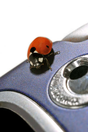 ladybug on a mobile phone, concept of the line being bugged or bug in the systemの写真素材