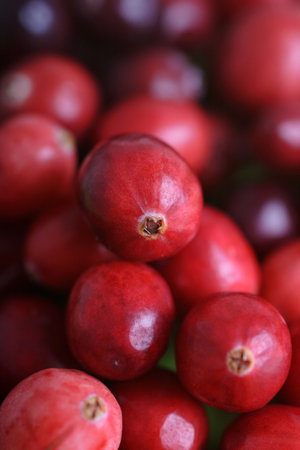 delicious cranberries ready for christmasの写真素材