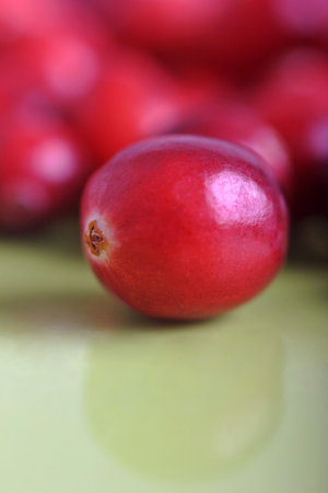 delicious cranberries ready for christmas,  shallow depth of fieldの写真素材