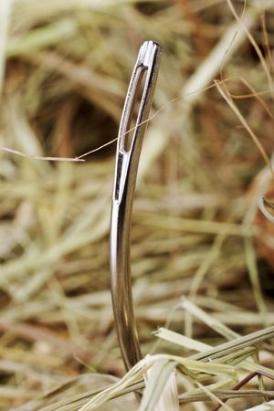 needle in a haystackの写真素材