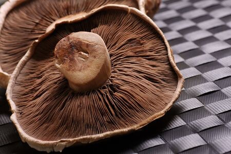 portabello  mushrooms with space for textの写真素材