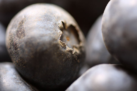 fresh blueberries, shallow depth of field.の写真素材