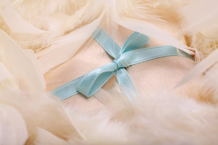 satin blue bow on silk cushion surrounded by feathers. Concept something blue or birth of a  baby boyの写真素材