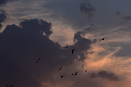 Sunset, sunrise with clouds, light rays and other dramatic effect.