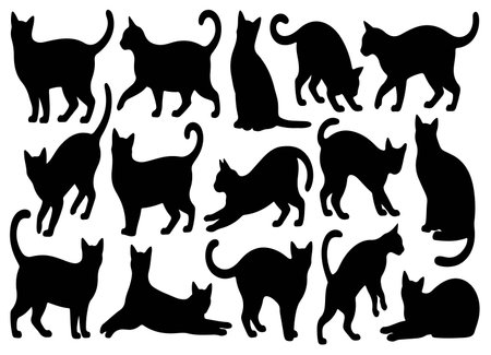 Silhouettes of various cats posesのイラスト素材