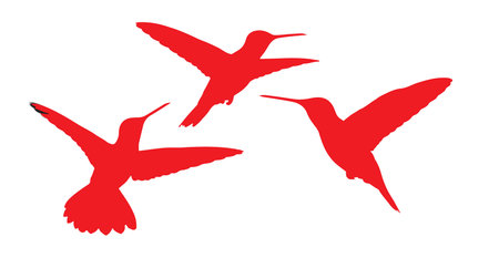 Three red hummingbirds in flight red, hummingbird, flight, flying, birds, silhouette, wings, beak, animal, nature, white, background, avian, wildlife, tropical, small, isolated,のイラスト素材