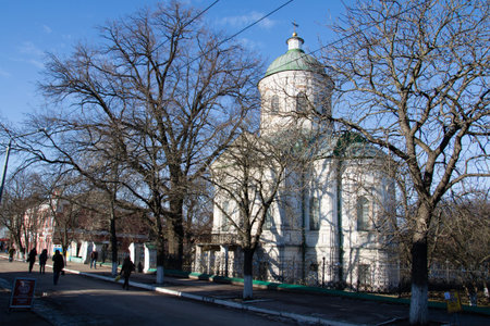 The Orthodox Church