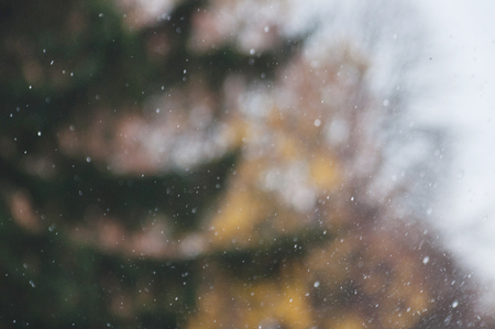 autumn rain background october flying raindropsの写真素材