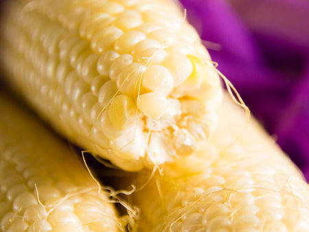 Delicious, sweet white corn on a light table close-up.の写真素材