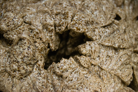 Food background, butter cream with cocoa close-up macro, background with copy space.の写真素材