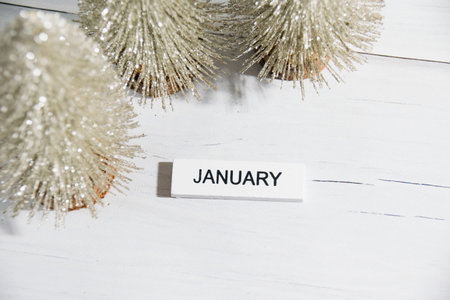 Decorative Christmas trees on a gray background. Concept of winter and winter holidays Christmas and New Year.の写真素材