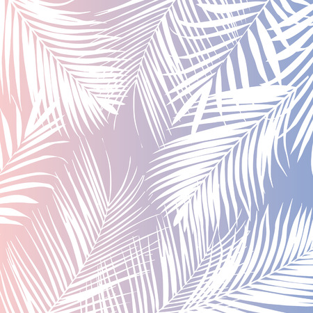 Vector tropical white palm leaves on backgroundのイラスト素材