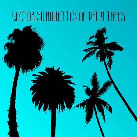 Vector silhouettes of palm treesのイラスト素材