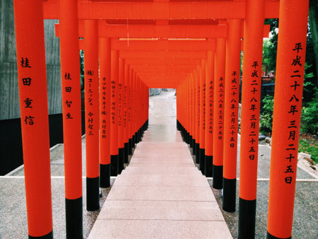 Red Toriiのeditorial素材