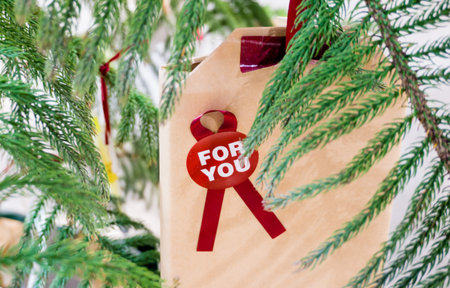 Christmas gift with a message on the tree decoration cool toneの写真素材