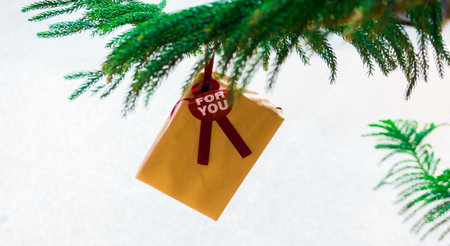 Christmas gift with a message on the tree decorationの写真素材