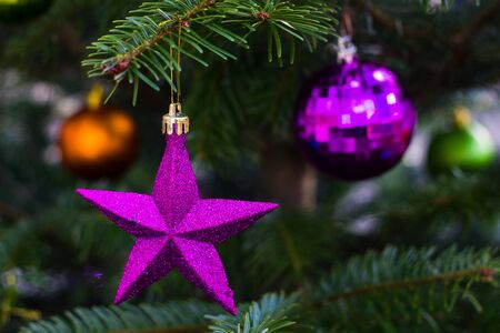 Violet star on Christmas tree. New year and Christmas greeting card.の写真素材