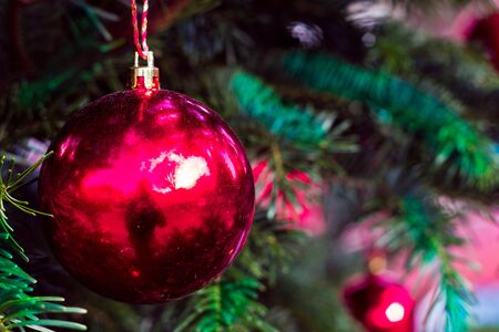 Red glass ball on Christmas tree. New year and Christmas greeting card.の写真素材